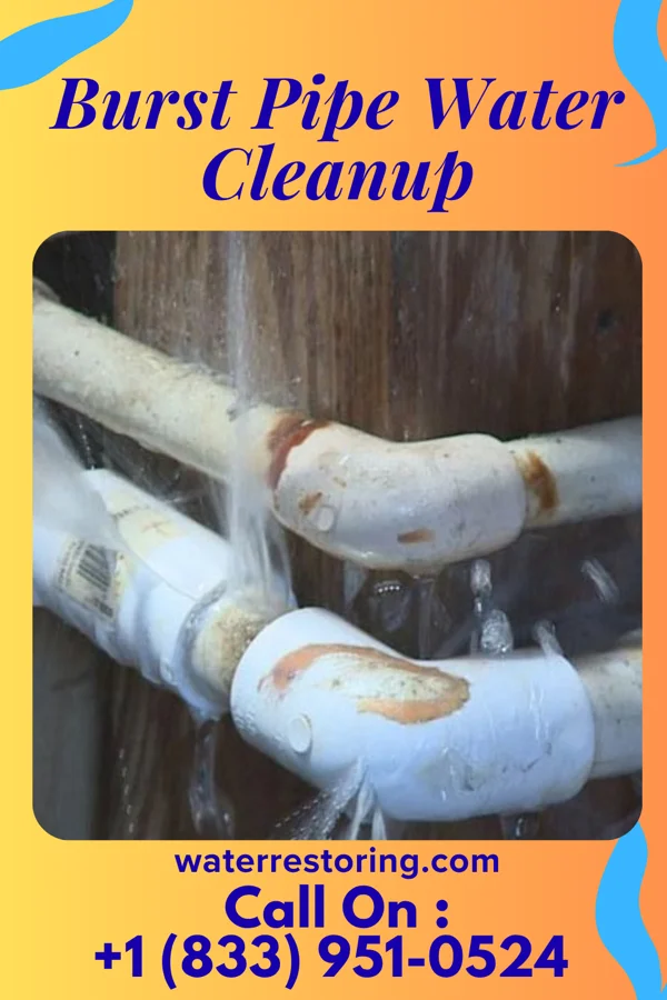 Burst Pipe Water Cleanup in White Sands, NM