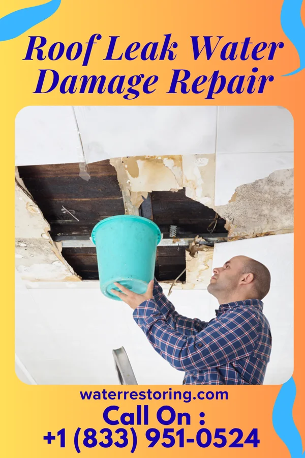 Roof Leak Water Damage Repair in White Sands, NM